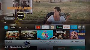 Inside the app, you will find many options. How To Cast To A Firestick