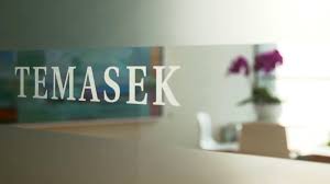 It is owned by the government of singapore. Temasek Invests 500 Million With Impact Investor Leapfrog Investments Esg Today