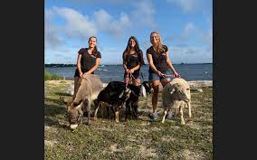 Now, the same family is giving long island children the chance to experience and enjoy the wonderful world of ponies at their own birthday parties. Long Island Pony Parties Petting Zoo Home Facebook