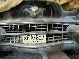 Image result for Cape Ivory 1955 Cadillac