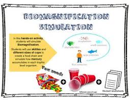Biomagnification Simulation With Skittles Hands On Activities Science Lessons Activities