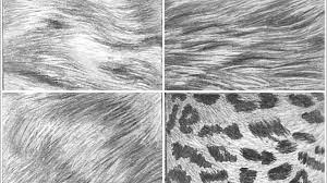 Use light, smooth strokes to begin. How I Draw Animal Fur With Pencil Easy Drawing Youtube