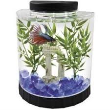 When i first started keeping tropical fish, i tried to find good betta tank mates. 5 Excellent Aquariums To Choose For Your Betta Fish Aquarium Tidings