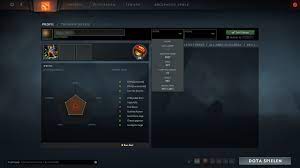 In dota 2 this means, the mmr that is split into support and core mmr is calculated and you get the rank for that mmr number. How Do I See My Dota 2 Mmr Arqade