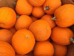 See which businesses are most recommended, upcoming events and promotions, and more. Medford Pumpkin Patch Bounty Make A Pie From Scratch Medford Ma Patch