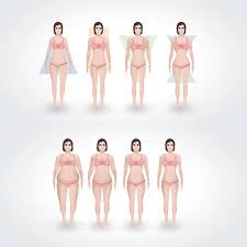 Any read on to know about the different body shapes and types and understand which one you have. 8 639 Body Types Cliparts Stock Vector And Royalty Free Body Types Illustrations