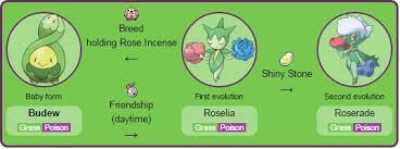 Images Of Budew Evolution Www Industrious Info