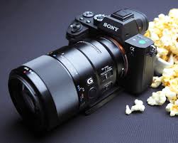 Top 20 Best Full Frame Mirrorless Cameras 2021 Ephotozine