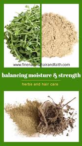 The best shampoos for dry hair fix problems like dry scalp, dandruff, frizziness, brittle hair, split does your hair feel extremely dry all the time? Herbs That Moisturize And Strengthen Herbs For Hair Care