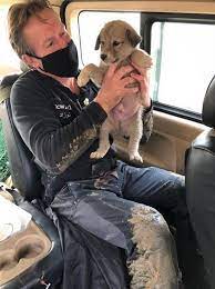 Paul pen farthing is a former royal marines commando and founder of the nowzad dogs charity. Fztir13gfcr91m
