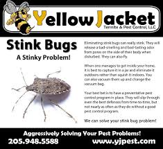 Pest control is a very common and old practice to get rid of diseases spreading pests. Yellow Jacket Termite Pest Control Posts Facebook