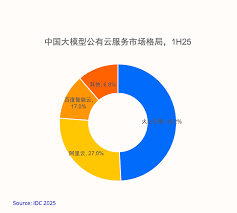 IDC：2025年上半年大模型公有云服务市场火山引擎占比49.2%，排名第一