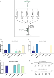 We did not find results for: Confounding Factors Of Ultrafiltration And Protein Analysis In Extracellular Vesicle Research Scientific Reports