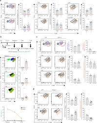 Coloring pages are no longer just for children. Fetal Derived Macrophages Dominate In Adult Mammary Glands Nature Communications