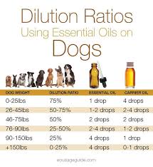 Essential Oils Dilution Ratio Chart Pawsitive Results