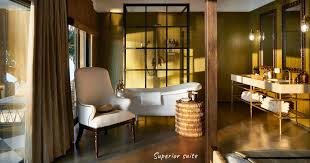 Image result for Grangea zambesiaca