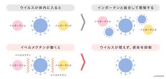 Jul 02, 2021 · イベルメクチンの功労者大村さんは、何十年も毎日行く先々の土を持ち帰り微生物を探していた、偶々静岡のゴルフ場で採取した土から微生物を発見しイベルメクチン作成に繋がり、アフリカでの寄生虫による病気を治した。それが認められてノーベル賞。 Esmy4f 62x0nrm