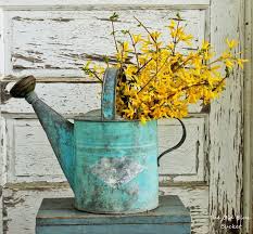 The Forsythia Are Blooming Watering Can Spring Decor