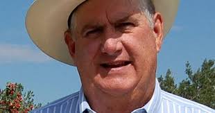 Cotton: To mow or not to mow?