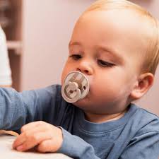 BIBS STUDIO Pacifier 2 Pack