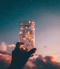 Fairy Lights Tumblr Photography Pictures Nature Photography