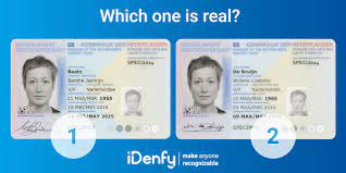 You can change the title, name, birthdate, nationality, height, eye color, id number, signature and upload a photo. What Is Image Manipulation In Identity Verification Idenfy