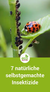 7 Naturliche Selbstgemachte Insektizide Garten Pflanzen Gartnerei Pflanzen