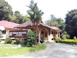 The 28 genera of aroids reported for peninsular malaysia. Rough Off The Beaten Track Review Of Kuala Koh National Park Gua Musang Malaysia Tripadvisor