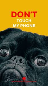 Check spelling or type a new query. Cute Don T Touch My Phone Dog Wallpapers Dont Touch My Phone