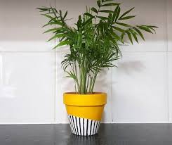 Black And White Outdoor Planter Pots Hand Painted Terracotta Black And White Stripe Plant Pot Bright Yellow Planter Black Bright Hand Pai In 2020 Painted Pots Diy Painted Plant Pots Yellow Planter