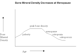 Diagnosis Of Osteoporosis With Bone Mineral Density Measurement Bone Disease Symptoms And Diagnosis Imaginis The Women S Health Wellness Resource Network