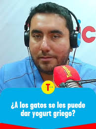 La Toya y Los Billis: Historias de los 80s y 90s en Bogotá