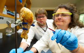We did not find results for: Happy Thanksgiving From The Reef Chemistry Forum Reef2reef Saltwater And Reef Aquarium Forum