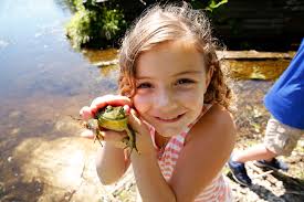 Our Story — Chebeague & Cumberland Land Trust