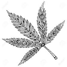 Stress relieving designs desouza, becky on amazon.com. Cannabis Leaf Doodle And Zentangle Style Hand Drawn Coloring Book Vector Illustration Royalty Free Cliparts Vectors And Stock Illustration Image 90173398