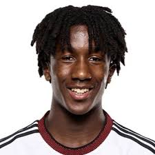 Profile Terrell Works, Fulham U21: Info, news, matches and statistics