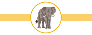 Check spelling or type a new query. Elephant Facts For Kids Twinkl Homework Help