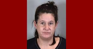 LAUREN SCHWEPPE of Manatee County booked for