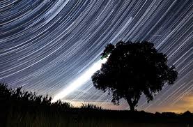 Check spelling or type a new query. Saksikan Fenomena Hujan Meteor Perseid Pekan Ini Okezone Techno