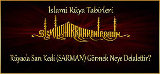Ruyada Sari Kedi Sarman Gormek Neye Delalettir Ilahirahmet Islami Dua Sitesi