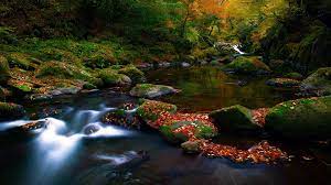 3d living waterfall screen saver. Autumn Leaves Nature Screensavers Beautiful Nature Autumn Nature