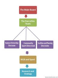 Sports Team Hierarchy Sports Organizational Structure