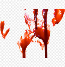 We did not find results for: Handprint Clipart Transparent Background Hand Blood Print Transparent Png Image With Transparent Background Toppng