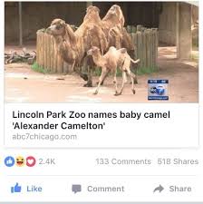 Doctorjohnwatson His Legacy Hamilton Funny Hamilton Memes Hamilton Musical