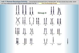 Solved I Am Suppose To Analyze This Chart And Define If I