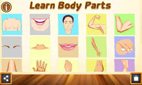 List of body parts name in urdu and hindi with urdu meanings in english letters help those who cannot read urdu. Quotes About Body Parts 131 Quotes