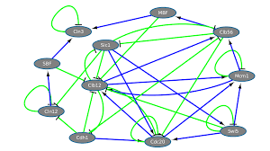 Image result for network yeast