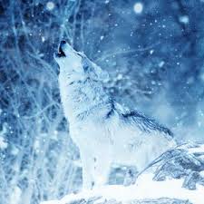 We did not find results for: Animals Wallpapers Ipad Ipad 2 Ipad Mini For Parallax Desktop Backgrounds Hd Ratings Pictures And Images