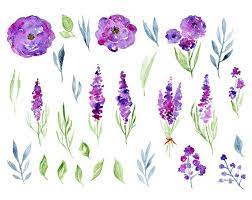 Watercolor Floral Clipart 29 Purple Violet Flowers Aquarelle Etsy In 2021 Violet Flower Floral Watercolor Watercolor Flowers