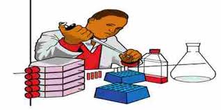 I have worked for 9 years in three different companies and publications as their staff writer. Cover Letter Format For The Post Of Laboratory Assistant Assignment Point
